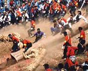 長野県諏訪地方・御柱祭