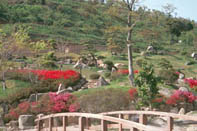 山口県光市・光まつり