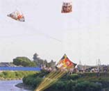 新潟県白根市 大凧合戦