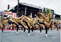 新潟県白根市 大凧合戦