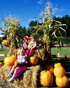 ハロウィーン祭り