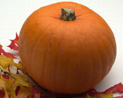 ハロウィーン祭り