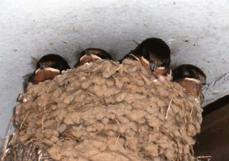 T80/アートロボ 1985年製