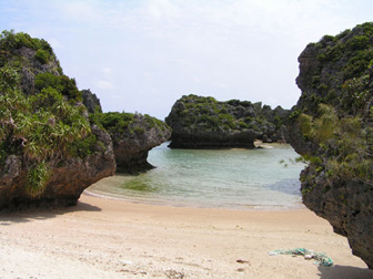那覇・小禄店ブログより