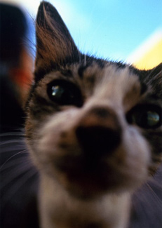 沖縄・北谷店ブログより