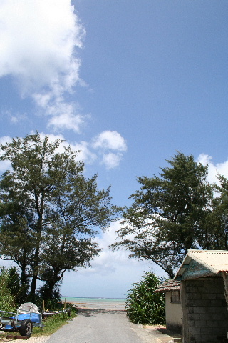 沖縄・美里店ブログより