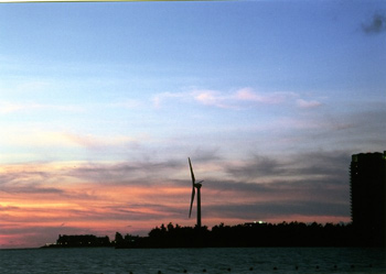 沖縄・北谷店ブログより