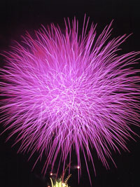 花火全体を画面いっぱいに取り入れて真ん中でとらえた作品