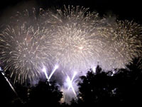 地上の林を一緒に写し込んだ構図