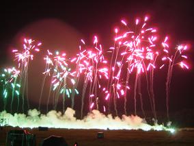 風に揺らぐ木々の様な花火