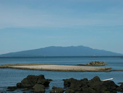 対岸に新潟の街