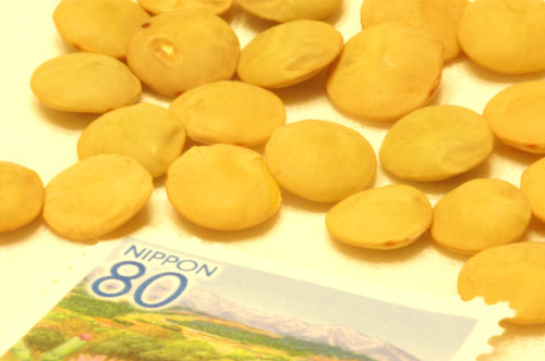 作例2：　撮影データ＝絞りｆ45、シャッター速度6秒