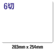 6切 (203mm×254mm) サイズイメージ