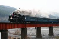 写真：大井川鉄道 C11