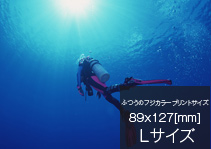 Ａ４サイズの例