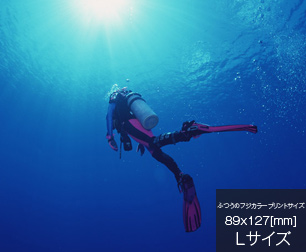 半切サイズの例