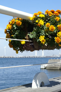 写真:デジタル一眼レフ 画角80mm相当（換算焦点距離）、絞りf11