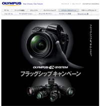 E-システム フラッグシップキャンペーン