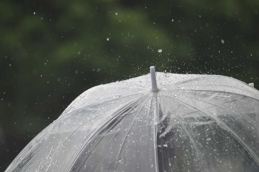 Vol 014 降り注ぐ雨を細い針のように撮ってみよう ママカメラマン山ちゃんの写真教室 カメラのキタムラ