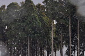 (1)シャッター速度1/20