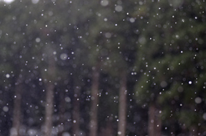 (3)ピント位置を手前に