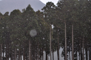 (4)70ミリで撮影