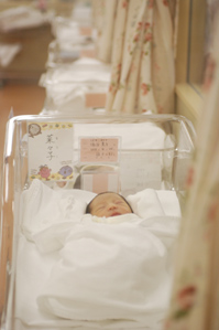 (2)名前の札を撮る