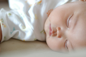 (3)頭のほうの角度から撮る