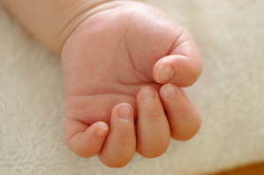 (4)パーツのアップ