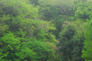 (1)フレアが出ている