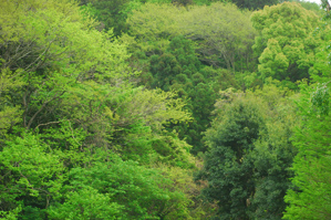 (2)ハレきりでフレアを防ぐ