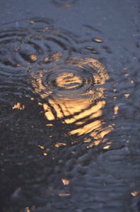 (2)水溜りの波紋