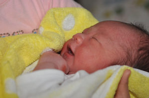 (1)ストロボダイレクト