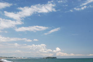 作例1 PLフィルターなし