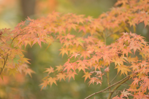 作例(1)タイミングがよい