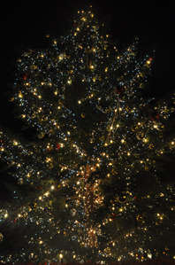 作例(1)補正なし