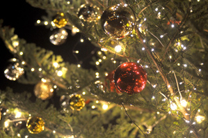 作例(3)オーナメントのアップは電飾の少ないツリーを