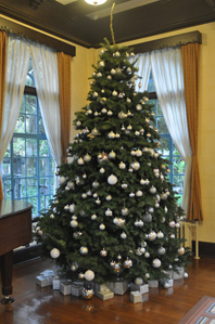 作例(1)ストレートな撮り方