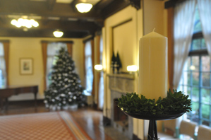 作例(2)背景のボケにする