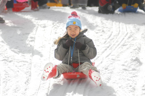 作例(2)正面から撮る