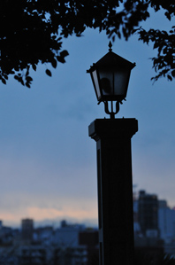 作例1常緑樹を入れる