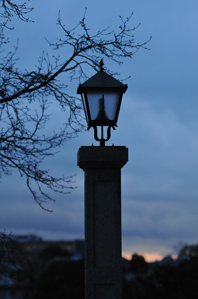 作例2冬枯れた木を入れる