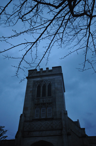 作例3空のトーンが寂しいので木のシルエットをアクセントに