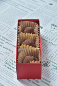 作例3 レフを使って撮影