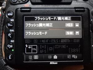 作例3 背面パネル