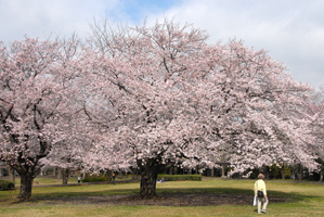 作例３人の後ろ姿を脇役に