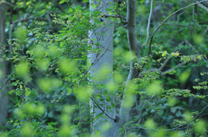 作例3 色温度4000K