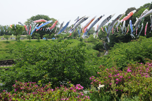 作例2 手すりから乗り出して撮る