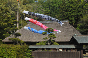 作例3 遠くから望遠で撮る