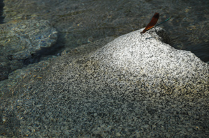 作例２背景が暗い